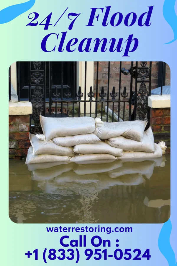24/7 Flood Cleanup in Media, IL