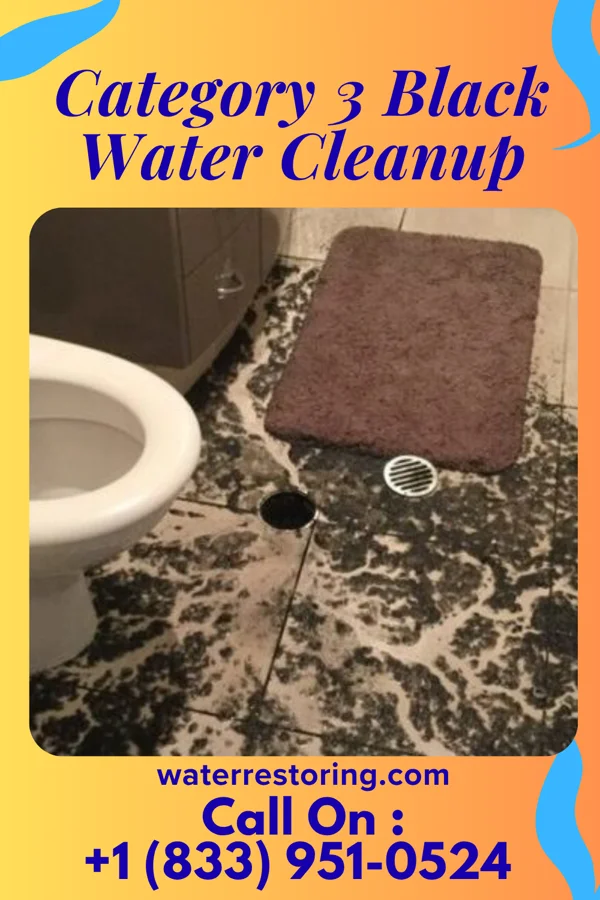 Category 3 Black Water Cleanup in Media, IL