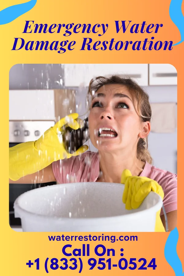 Emergency Water Damage Restoration in Media, IL