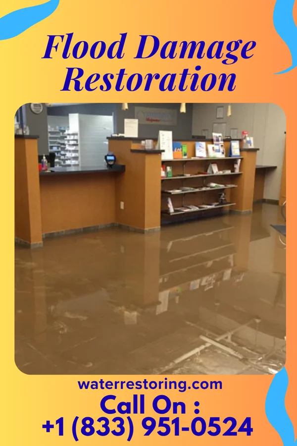 Flood Damage Restoration in Media, IL