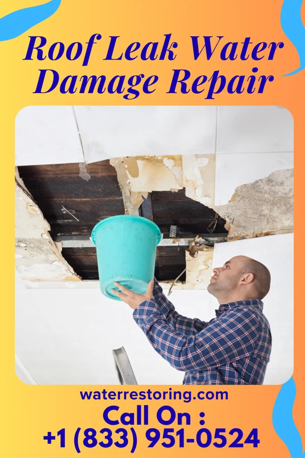 Roof Leak Water Damage Repair in Media, IL